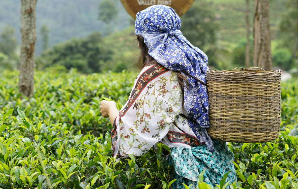 conversationswithtea.com about page || conversationswithtea.com about